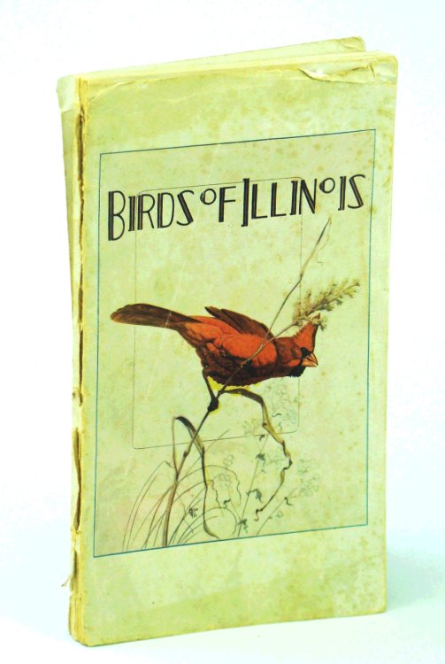 Image for Birds of Illinois, Conservation Publication No. 6 Birds of Illinois, Conservation Publication No. 6