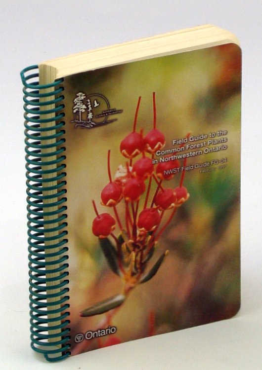 Image for Field Guide to the Common Forest Plants in Northwestern Ontario: NWST Field Guide FG-04, February 1997 Field Guide to the Common Forest Plants in Northwestern Ontario: NWST Field Guide FG-04, February 1997