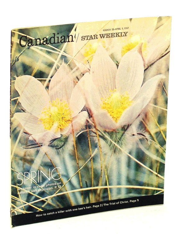 Canadian Star Weekly [Magazine], March 25 - April 1, 1967: Doug Hepburn / RCMP Crime Labs