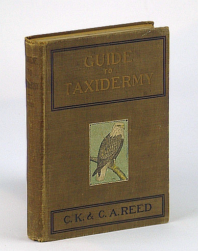 Guide to Taxidermy