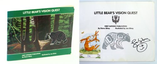Little Bear's Vision Quest
