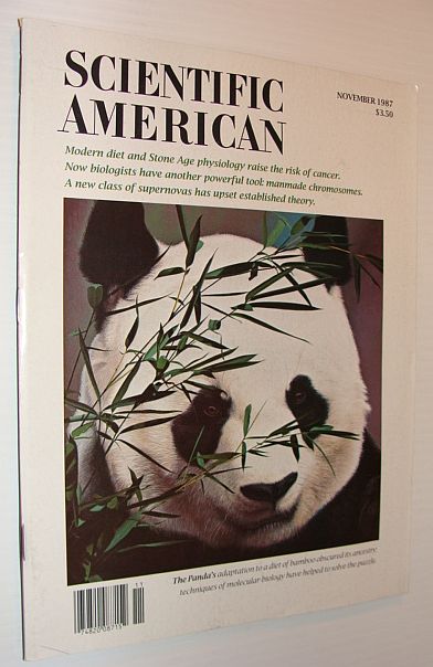 Scientific American Magazine, November 1987
