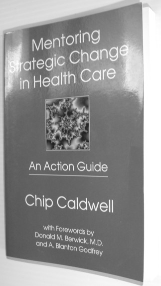 Mentoring Strategic Change in Healthcare : An Action Guide