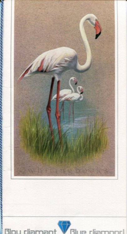 South African Airways (SAA) / Suid Afrikaanse Lugdiens (SAL) Blue Diamond Menu with Cover Bird Illustration Circa 1980
