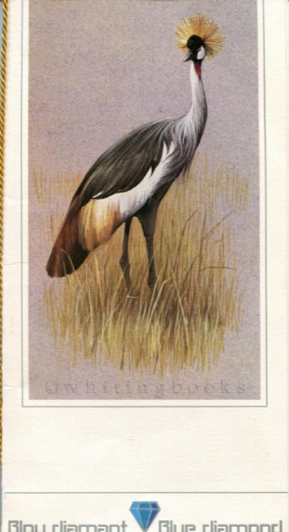 South African Airways (SAA) / Suid Afrikaanse Lugdiens (SAL) Blue Diamond Menu with Cover Bird Illustration Circa 1980