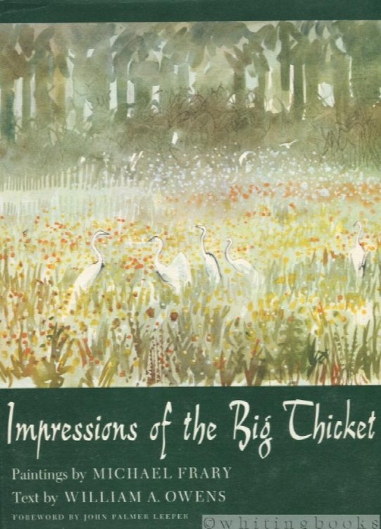 Impressions of the Big Thicket (Number 4, Blaffer Series of Southwestern Art)