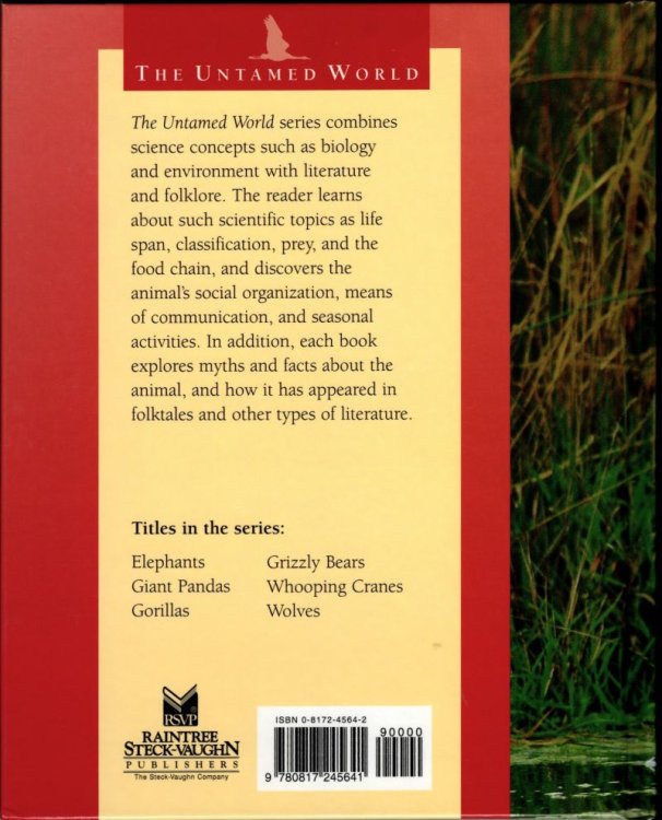 Whooping Cranes (The Untamed World)