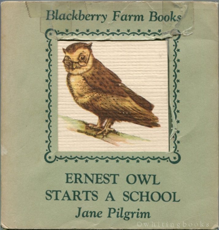 Ernest Owl Starts a School